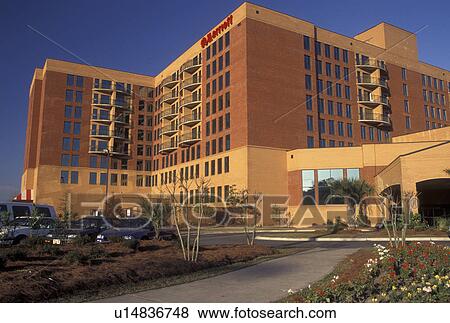 hotel, resort, restaurant, Savannah, GA, Georgia, Marriott Hotel and TGI Fridays in Savannah. View Large Photo Image Stock Photo - hotel, resort, restaurant, Savannah, GA, Georgia, Marriott Hotel and TGI Fridays in Savannah. . Fotosearch