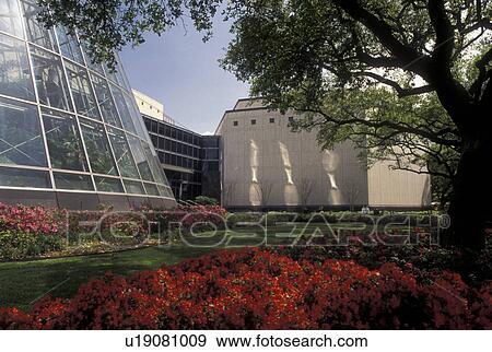 Houston, TX, Texas, Houston Museum of Natural Science at Hermann Park in Houston. View Large Photo Image Stock Photo - Houston, TX, Texas, Houston Museum of Natural Science at Hermann Park in Houston.. Fotosearch