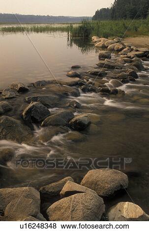 Stock Photo -  Itasca State Park, headwaters, Mississippi River, MN, Minnesota, Park Rapids, Lake Itasca, Headwaters of the Mississippi River in Itasca State Park.. Fotosearch