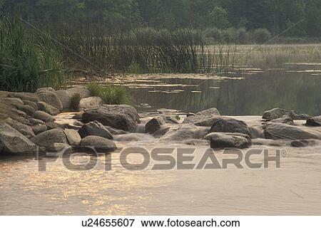 Stock Photo -  Itasca State Park, headwaters, Mississippi River, MN, Minnesota, Park Rapids, Lake Itasca, Headwaters of the Mississippi River in Itasca State Park.. Fotosearch