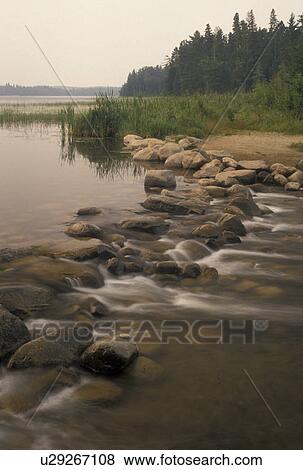 Stock Photo -  Itasca State Park, headwaters, Mississippi River, MN, Minnesota, Park Rapids, Lake Itasca, Headwaters of the Mississippi River in Itasca State Park.. Fotosearch