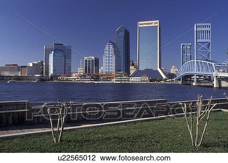 Jacksonville, FL, Florida, Skyline of Jacksonville from St. Johns River Park along the St. Johns River. View Large Photo Image Stock Image - Jacksonville, FL, Florida, Skyline of Jacksonville from St. Johns River Park along the St. Johns River.. Fotosearch