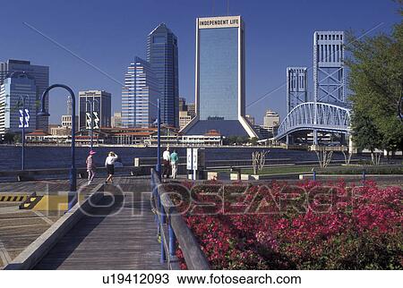 Jacksonville, skyline, FL, Florida, Skyline of Jacksonville from St. Johns River Park along the St. Johns River. View Large Photo Image Stock Image - Jacksonville, skyline, FL, Florida, Skyline of Jacksonville from St. Johns River Park along the St. Johns River.. Fotosearch