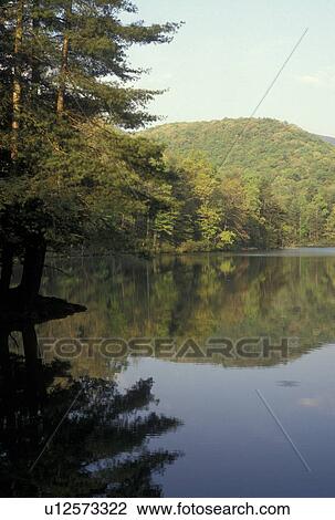 lake, Chattahoochee National Forest, GA, Georgia, Scenic view of Lake Winfield Scott in Chattahoochee National Forest in North Georgia. View Large Photo Image Stock Image - lake, Chattahoochee National Forest, GA, Georgia, Scenic view of Lake Winfield Scott in Chattahoochee National Forest in North Georgia.. Fotosearch