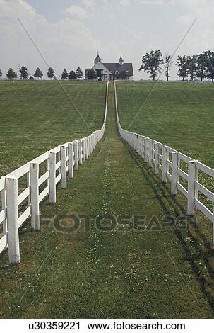 Stock Image -  Lexington, KY, fences, pasture, Kentucky, Blue Grass Country, Two white plank fences follow the rolling green pastures leading up to a large horse barn in the bluegrass country of Lexington.. Fotosearch