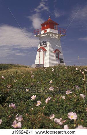 Stock Image -  lighthouse, Prince Edward Island National Park, P. E. I Canada, Prince Edward Island, Gulf of St. Lawrence, Covehead lighthouse at Prince Edward Island National Park on Prince Edward Island.. Fotosearch