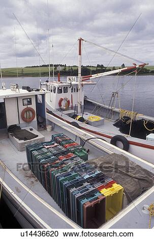Stock Image -  lobster fishing boats, Prince Edward Island, Canada, P. E. I Gulf of St. Lawrence, Fishing boats docked in the harbor of the fishing village of French River on Prince Edward Island.. Fotosearch