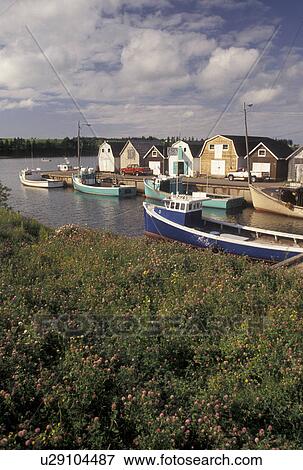 lobster fishing boats, Prince Edward Island, Canada, P. E. I Gulf of St. Lawrence, Fishing boats docked in the harbor of the fishing village of New London on Prince Edward Island. View Large Photo Image Stock Photo - lobster fishing boats, Prince Edward Island, Canada, P. E. I Gulf of St. Lawrence, Fishing boats docked in the harbor of the fishing village of New London on Prince Edward Island.. Fotosearch