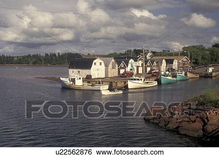 lobster fishing boats, Prince Edward Island, Canada, P. E. I Gulf of St. Lawrence, Fishing boats docked in the harbor of the fishing village of New London on Prince Edward Island. View Large Photo Image Stock Photograph - lobster fishing boats, Prince Edward Island, Canada, P. E. I Gulf of St. Lawrence, Fishing boats docked in the harbor of the fishing village of New London on Prince Edward Island.. Fotosearch