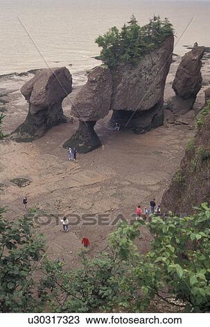 low tide, Bay of Fundy, Hopewell Rocks, New Brunswick, Hopewell Cape, NB, Canada, Tourists exploring Flower Pot Rocks at low tide on the Bay of Fundy at The Rocks Provincial Park on Hopewell Cape in New Brunswick. View Large Photo Image Stock Image - low tide, Bay of Fundy, Hopewell Rocks, New Brunswick, Hopewell Cape, NB, Canada, Tourists exploring Flower Pot Rocks at low tide on the Bay of Fundy at The Rocks Provincial Park on Hopewell Cape in New Brunswick.. Fotosearch