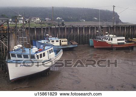 low tide, fishing boats, Bay of Fundy, NB, New Brunswick, Canada, Fishing boats docked at low tide in the harbor of the village of Alma on the Bay of Fundy in New Brunswick. View Large Photo Image Stock Photo - low tide, fishing boats, Bay of Fundy, NB, New Brunswick, Canada, Fishing boats docked at low tide in the harbor of the village of Alma on the Bay of Fundy in New Brunswick.. Fotosearch