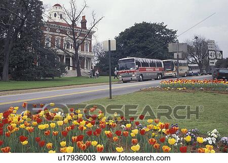 Stock Image -  Macon, GA, Georgia, Tour buses parked outside The Hay House, an Italian Renaissance Revival Villa, in Macon in the spring.. Fotosearch