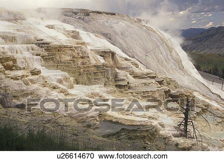 Mammoth Hot Springs, Yellowstone National Park, WY, Wyoming, Canary Springs, a terrace-like formation created by limestone deposits, at Mammoth Hot Springs in Yellowstone Nat'l Park in Wyoming. View Large Photo Image Stock Image - Mammoth Hot Springs, Yellowstone National Park, WY, Wyoming, Canary Springs, a terrace-like formation created by limestone deposits, at Mammoth Hot Springs in Yellowstone Nat'l Park in Wyoming. . Fotosearch