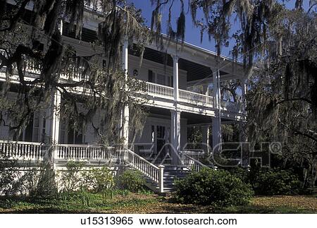mansion, Beaufort, SC, South Carolina, Spanish Moss hangs from a tree on the grounds of an historic house in the Historic District of Beaufort. View Large Photo Image Stock Photography - mansion, Beaufort, SC, South Carolina, Spanish Moss hangs from a tree on the grounds of an historic house in the Historic District of Beaufort.. Fotosearch