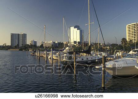 marina, Sarasota, FL, Gulf of Mexico, Florida, Boats docked at a marina in the harbor in Sarasota. View Large Photo Image Stock Photo - marina, Sarasota, FL, Gulf of Mexico, Florida, Boats docked at a marina in the harbor in Sarasota.. Fotosearch