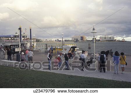 Stock Photograph -  Miami, FL, Florida, Atlantic Ocean, Carriage rides at Bayfront Park on Biscayne Bay in Miami.. Fotosearch