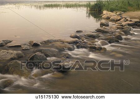 Mississippi River, Itasca State Park, MN, Minnesota, Park Rapids, Lake Itasca, the source of the Mississippi River, in Itasca State Park. View Large Photo Image Stock Image - Mississippi River, Itasca State Park, MN, Minnesota, Park Rapids, Lake Itasca, the source of the Mississippi River, in Itasca State Park.. Fotosearch
