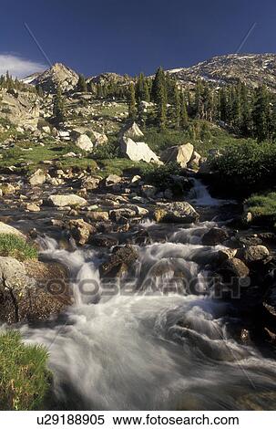 mountain, river, Wind River Range, Bridger-Teton National Forest, WY, Wyoming, Mountain stream flows down through the Wind River Range Mountains in the Bridger-Teton Nat'l Forest in Wyoming. View Large Photo Image Stock Photography - mountain, river, Wind River Range, Bridger-Teton National Forest, WY, Wyoming, Mountain stream flows down through the Wind River Range Mountains in the Bridger-Teton Nat'l Forest in Wyoming.. Fotosearch