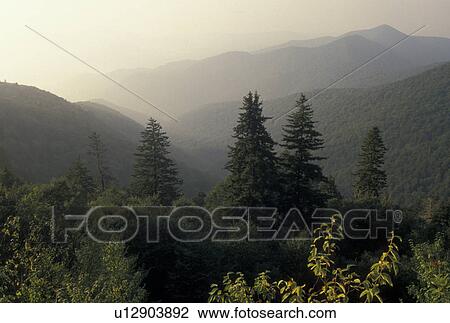 Stock Image -  mountains, NC, Blue Ridge, North Carolina, Scenic view of fog over Pisgah National Forest from the Blue Ridge Pkwy. in North Carolina.. Fotosearch