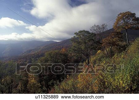 mountains, NC, Blue Ridge, North Carolina, Scenic view of Pisgah National Forest from Blue Ridge Parkway in the fall in North Carolina. View Large Photo Image Stock Photo - mountains, NC, Blue Ridge, North Carolina, Scenic view of Pisgah National Forest from Blue Ridge Parkway in the fall in North Carolina.. Fotosearch