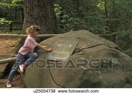 Nantahala National Forest, NC, North Carolina, Nine year old girl reads the plaque on boulder dedicating Joyce Kilmer Memorial Forest, named for the author of the poem Trees. View Large Photo Image Stock Photo - Nantahala National Forest, NC, North Carolina, Nine year old girl reads the plaque on boulder dedicating Joyce Kilmer Memorial Forest, named for the author of the poem Trees.. Fotosearch