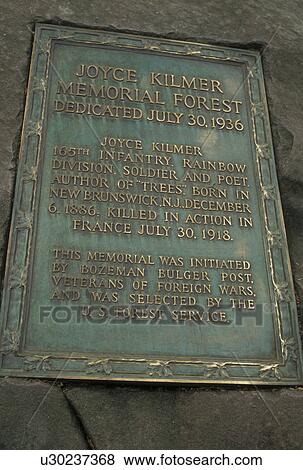 Nantahala National Forest, NC, North Carolina, Plaque on boulder dedicating Joyce Kilmer Memorial Forest, named for the author of the poem Trees. View Large Photo Image Stock Photo - Nantahala National Forest, NC, North Carolina, Plaque on boulder dedicating Joyce Kilmer Memorial Forest, named for the author of the poem Trees.. Fotosearch
