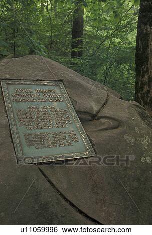 Stock Photograph -  Nantahala National Forest, NC, North Carolina, Plaque on boulder dedicating Joyce Kilmer Memorial Forest, named for the author of the poem Trees.. Fotosearch