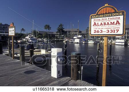 Naples, FL, Gulf of Mexico, Florida, Marina at Naples City Dock in Naples on the Gulf of Mexico. View Large Photo Image Stock Photo - Naples, FL, Gulf of Mexico, Florida, Marina at Naples City Dock in Naples on the Gulf of Mexico.. Fotosearch