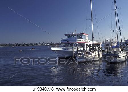 Naples, FL, Gulf of Mexico, Florida, Tour boat docked at the marina at Naples City Dock in Naples on the Gulf of Mexico. View Large Photo Image Stock Photo - Naples, FL, Gulf of Mexico, Florida, Tour boat docked at the marina at Naples City Dock in Naples on the Gulf of Mexico.. Fotosearch