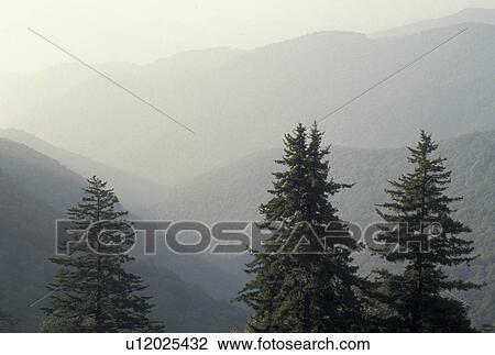 Stock Image -  NC, mountains, Blue Ridge, North Carolina, Scenic view of fog over Pisgah National Forest from the Blue Ridge Pkwy. in North Carolina.. Fotosearch
