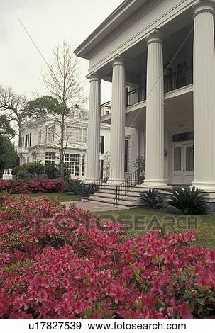Stock Photo -  New Orleans, mansion, Garden District, Louisiana, LA, Greek revival style house with columns at 1407 First Street in the Garden District in New Orleans. Pink azaleas adorn the yard in the spring.. Fotosearch