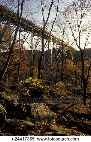 New River Gorge, WV, fall foliage, bridge, West Virginia, New River Gorge Bridge, the world's longest steel-arch span bridge, crosses the New River at the New River Gorge National River in Fayetteville in autumn. View Large Photo Image Stock Photography - New River Gorge, WV, fall foliage, bridge, West Virginia, New River Gorge Bridge, the world's longest steel-arch span bridge, crosses the New River at the New River Gorge National River in Fayetteville in autumn.. Fotosearch