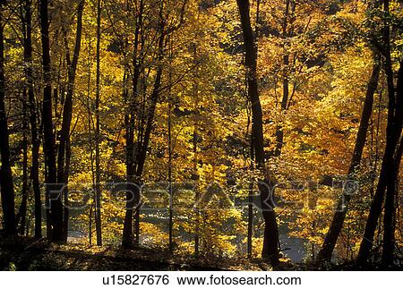 New River Gorge, WV, West Virginia, Railroad tracks along New River Gorge National River in autumn. View Large Photo Image Stock Photograph - New River Gorge, WV, West Virginia, Railroad tracks along New River Gorge National River in autumn.. Fotosearch