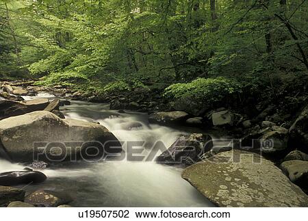Oconaluftee River, Great Smoky Mountain National Park, NC, North Carolina View Large Photo Image Stock Image - Oconaluftee River, Great Smoky Mountain National Park, NC, North Carolina. Fotosearch