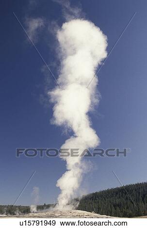 Old Faithful, geyser, Yellowstone National Park, WY, Wyoming, Old Faithful erupting in Yellowstone Nat'l Park in Wyoming. View Large Photo Image Stock Photo - Old Faithful, geyser, Yellowstone National Park, WY, Wyoming, Old Faithful erupting in Yellowstone Nat'l Park in Wyoming.. Fotosearch