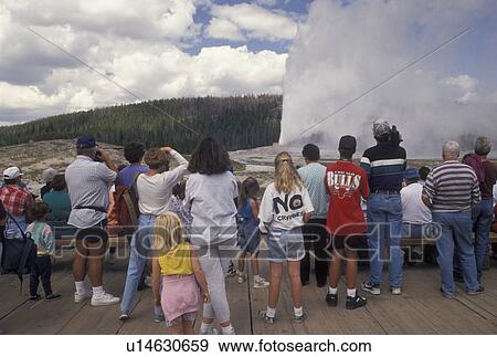 Old Faithful, Yellowstone National Park, WY, geyser, Wyoming, A crowd of people watching Old Faithful erupt in Yellowstone Nat'l Park in Wyoming. View Large Photo Image Stock Photo - Old Faithful, Yellowstone National Park, WY, geyser, Wyoming, A crowd of people watching Old Faithful erupt in Yellowstone Nat'l Park in Wyoming.. Fotosearch