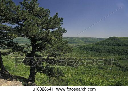 Stock Image -  Ozark Mountains, AR, Arkansas, Scenic view of the lush vegetation of the Ozark Mountains in Arkansas.. Fotosearch