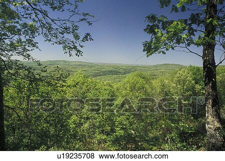 Stock Photo -  Ozark Mountains, AR, Arkansas, Scenic view of the Ozark Mountains in Arkansas.. Fotosearch