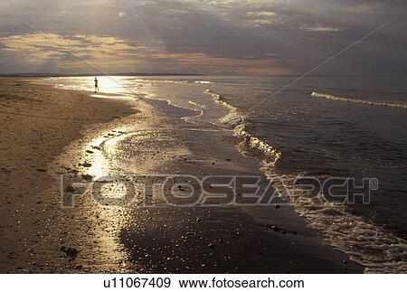 P. E. I Prince Edward Island National Park, Canada, Prince Edward Island, Gulf of St. Lawrence, Man jogging at sunset on Cavendish Beach in Prince Edward Island National Park on Prince Edward Island. View Large Photo Image Stock Photo - P. E. I Prince Edward Island National Park, Canada, Prince Edward Island, Gulf of St. Lawrence, Man jogging at sunset on Cavendish Beach in Prince Edward Island National Park on Prince Edward Island.. Fotosearch