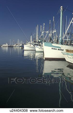 Pass Christian, MS, shrimp boats, Gulf Coast, Mississippi, A fleet of shrimp boats docked at a marina reflect in the calm water in Pass Christian on the Gulf of Mexico. View Large Photo Image Stock Photo - Pass Christian, MS, shrimp boats, Gulf Coast, Mississippi, A fleet of shrimp boats docked at a marina reflect in the calm water in Pass Christian on the Gulf of Mexico. . Fotosearch