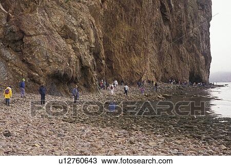 Stock Image -  Perce, Gaspe Peninsula, Perce Rock, Quebec, Canada, Gulf of St. Lawrence, People walking along Rocher Perce (Perce Rock) at low tide on the Gulf of St. Lawrence in Perce on Gaspe Peninsula in Quebec.. Fotosearch