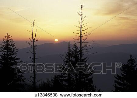 Pisgah National Forest, NC, North Carolina, Scenic view of Pisgah National Forest at sunset in North Carolina. View Large Photo Image Stock Photo - Pisgah National Forest, NC, North Carolina, Scenic view of Pisgah National Forest at sunset in North Carolina.. Fotosearch