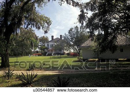 plantation, Charleston, South Carolina, SC, Boone Hall Plantation in Mount Pleasant in the spring. View Large Photo Image Stock Photo - plantation, Charleston, South Carolina, SC, Boone Hall Plantation in Mount Pleasant in the spring.. Fotosearch