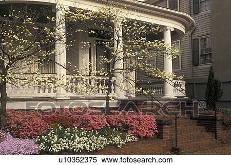 Portsmouth, Virginia, VA, Hampton Roads, Azaleas and dogwoods in bloom outside a house in Historic Olde Towne Portsmouth in the spring. View Large Photo Image Stock Photography - Portsmouth, Virginia, VA, Hampton Roads, Azaleas and dogwoods in bloom outside a house in Historic Olde Towne Portsmouth in the spring.. Fotosearch
