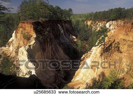 Providence Canyon, GA, Georgia, Lumpkin, Georgia's Little Grand Canyon at Providence Canyon State Park. View Large Photo Image Stock Image - Providence Canyon, GA, Georgia, Lumpkin, Georgia's Little Grand Canyon at Providence Canyon State Park. . Fotosearch