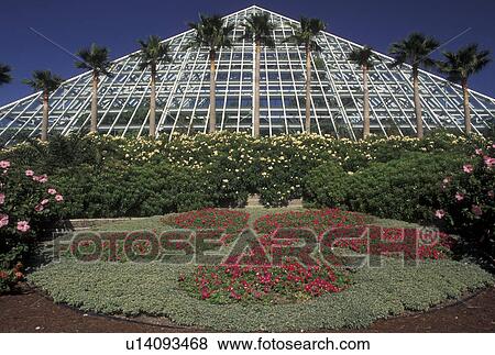 Stock Photo -  pyramid, Moody Gardens, Galveston, TX, Texas, Gulf of Mexico, 12-story Aquarium Pyramid at Moody Gardens in Galveston.. Fotosearch