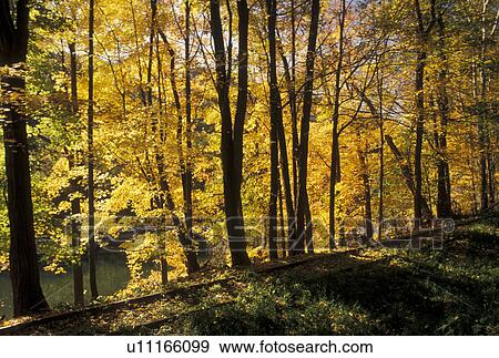 railroad tracks, New River Gorge, WV, West Virginia, Railroad tracks along New River Gorge National River in autumn. View Large Photo Image Stock Photo - railroad tracks, New River Gorge, WV, West Virginia, Railroad tracks along New River Gorge National River in autumn.. Fotosearch