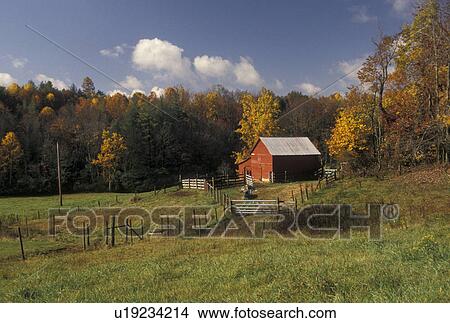 Picture -  red barn, Blue Ridge, farm, VA, Virginia, A red barn on a farm along the Blue Ridge Parkway in autumn in Virginia.. Fotosearch