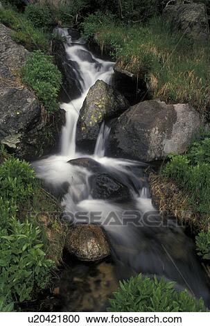 Stock Image -  river, Rocky Mts CO, Colorado, Mountain stream flows over rocks in Rocky Mountain National Park.. Fotosearch