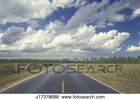 road, FL, Everglades Nat'l Park, Florida, Road through the Grasslands of Everglades National Park. View Large Photo Image Stock Photo - road, FL, Everglades Nat'l Park, Florida, Road through the Grasslands of Everglades National Park.. Fotosearch